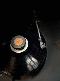 ZV8x1_79b24e48-3be4-412e-9708-